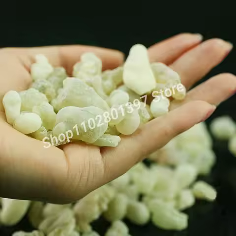 Oman Hojari Frankincense Green Frankincense Burning Well Resin Fragrance FrankinsenseB.sacra Hydroso