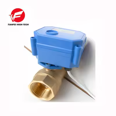 CE TF DC3.6-6v,DC12V DN8,DN10,DN15,DN20 CR01 CR02 CWX-15Q 1.5nm 3s brass NPT BSP reduced bore female