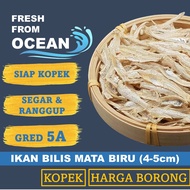 【HARGA BORONG】 IKAN BILIS MATA BIRU KOPEK RANGGUP GRED 5A DRIED ANCHOVIES