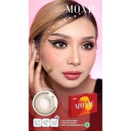 MOXIE MINUS -3.25 SD -6.00 SOFTLENS MOXIE / KONTAK LENSA MOXIE TEREPIK