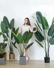 160 cm Premium Artificial Banana Leaf Pokok Pisang Artificial Plant , Pokok Palsu Pokok Banana