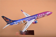 Colorful Aircraft Model Passenger Airplane Replica B737-800