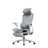 (Ready-Stock)Hbada P2 Ergonomic Office Chair (P2 Pro & P2 Ultra) -with Adjustable Lumbar  Adjustable
