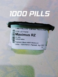 MAXIMUS RZ COS LETTUCE SEEDS(1000PILLS) BY RIJK ZWAAN