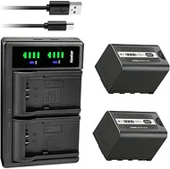 Kastar 2-Pack Battery and LTD2 USB Charger Replacement for Panasonic AJ-PX270, AJ-PX270PJ, AJ-PX298,