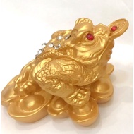 3-legged toad statue holding lucky money - Buddha168shop