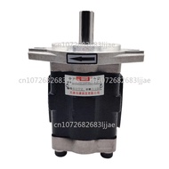 Hydraulic DSG05C16F9H9-R261C DSG05-18F2H9 Electric Forklift Gear Oil Pump High Pressure Low Noise Tr