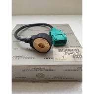 Peugeot 406 D8 2.0 D9 3.0 V6 407 V6 607 V6 Citroen C5 I V6 C6 Engine Pinking Knock Sensor
