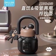 Diller premium thermos bottle 650ml