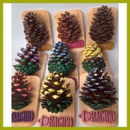 ◴ ✾ ∜ Pinecone Ref Magnet/ Fridge Magnet Baguio/ Baguio Souvenirs, Giveaways, Tokens
