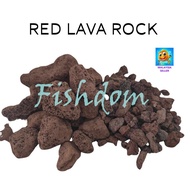 FISHDOM Red Lava Rock Batu Pasir MALANG Bio Filter Media Succulent Volcanic Stone 红火山石 Aquascape Cac