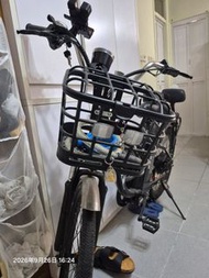 中國名牌鳳凰電動單車