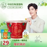 溜溜梅 西梅酸话梅子蜜饯春游零食礼盒 青梅宝藏桶480g