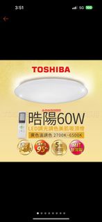 Toshiba 60w 皓陽吸頂燈