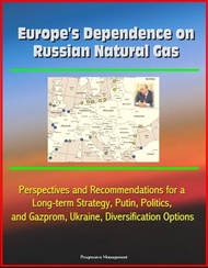 Europe's Dependence on Russian Natural Gas: Perspectives and Recommendations for a Long-term Strateg