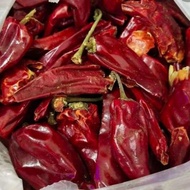 HOT ITEM 1KG Cili/lada Kering Buah Besar Tak Pedas/ Cili kering buah besar / Cabai Kering