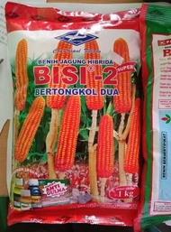 BENIH JAGUNG BISI 2 HIBRIDA CAP KAPAL TERBANG