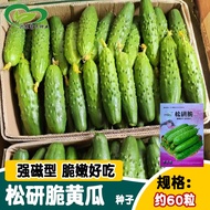 Yanyou Songyan Crispy Fruit Cucumber Seed Crispy Tender Delicious Drip Cucumber Tangshan Autumn Melo