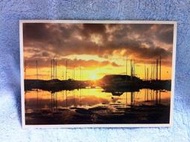 英國帶回 蘇格蘭 明信片 英國明信片 8860 紀念 收藏 收集 風景 景點 港口 快艇