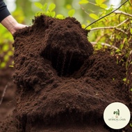 Peat Moss Soil 5 Litres By Artificial Oasis (Approx. 1kg)