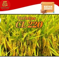 READY Benih Padi Unggul CL220 / Bibit Unggul 5kg