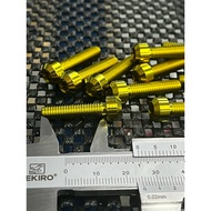 SMALL TITANIUM BOLT M6 X 25 THREAD 10 LENGTH 25mm