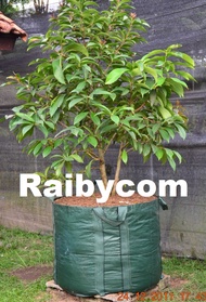 Planter Bag 300 Liter Easy Grow Jumbo Planterbag Pohon Buah Besar 300L