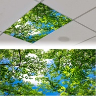 Ceiling Fluorescent Light Covers for Classroom | 2 x 4 Fixture Light Filters Flower Decorative Ceili