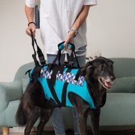 寵物輔助衣 後癱款M號 輔助帶 高齡犬 寵物輔具 上下樓