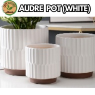 AUDRE POT (WHITE) CERAMIC FLOWER POT 多肉花盆 植物花盆 花盆 陶瓷花盆