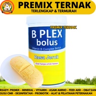 USFA B PLEX BOLUS 1 POT (3 BOLUS) - Animal Vitamin B Complex Increases Appetite Like Vita B Plex