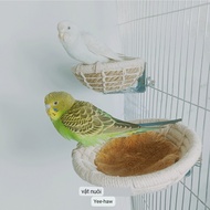 Crested Bird's Nest (White) Singing Bird's Nest Parrot Bird's Nest Breeding Bird's Nest Rowing Bird'