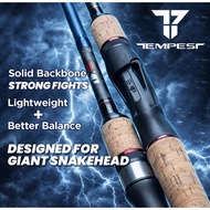 EXP TEMPEST SPINNING CASTING FISHING ROD