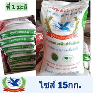100% Authentic Surin Jasmine Rice Specially Selected New Early Season Chemical-Free Moth-Free (1st S