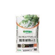 日本花寶觀葉植物培養泥土 2L 日本製造 園藝種植花泥 培養土