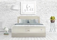 King Koil World Edition Paradigm II - Mattress Only