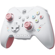 Controller for Nintendo Switch 2, BIGBIG WON Rainbow 2 SE, Motion Control, Hall Effect Triggers, 12-