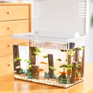 Fish Tank Living Room Household Fish Culture Aquarium Landscaping A Whole Set Desktop Decoration Hydroponic Vase Storage