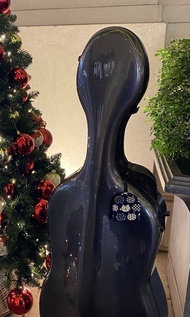 大提琴琴盒4/4 Cello Case