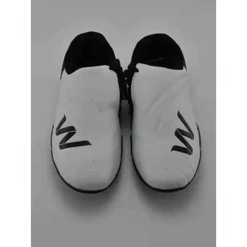 2026 2025 Men Woman Martial Arts Shoe Top Quality Comfortable Taekwondo Shoe Best Unisex Competition