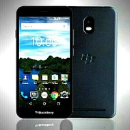 blackberry aurora