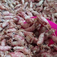 ikan asin Beby cumi - 1 KG / Cumi Asin / Cumi Enak / Ikan Asin / Cumi Asin Murah / Cumi Gurih- 1 KG/