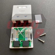 TM Passed RJ45 CAT6 Internet Junction Box / Wall Mount Socket Jack / 8P8C 1 Way 2 Way [RDVB1 / FDVB2