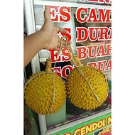 Decorative durian display artificial durian decoration rubber durian sample durian fake durian decor
