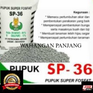 Pupuk SP 36