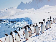 (自由行旅遊行程計劃建議! Itinerary planner)🇦🇶南極行程路線機票租車酒店住屋行程建議旅遊書(慳時間!度身訂造!由背包到奢華都可以!)(歐洲日本澳洲中東美國加拿大冰島紐西蘭等)(鐵道