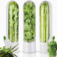 Storage Container Herb Storage Vegetabledaun Onion Celery Basil Herb Keeper Cup Vegetable Preservati