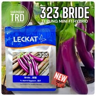 🔥NEW STOCK🔥Paket 10g (2000 Biji) BRIDE 323 Leckat Biji Benih Terung Mini Purple F1 Hybrid Mini Eggpl