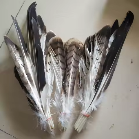 52 piece set of natural eagle feathers, 20-35 cm/8-14 inch stage celebration specimen decoration, ra