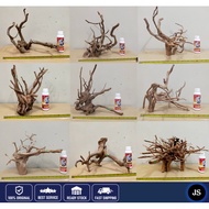 🔥Premium Shapes Size XL,XXL Driftwood🔥Spider Wood/Driftwood for Aquarium/Azalea/Aquascape Wood  (Kayu Untuk Aquascape)